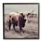Stupell Industries Farm Cattle Rustic Vintage Styling Muted Tones,12" x 12"